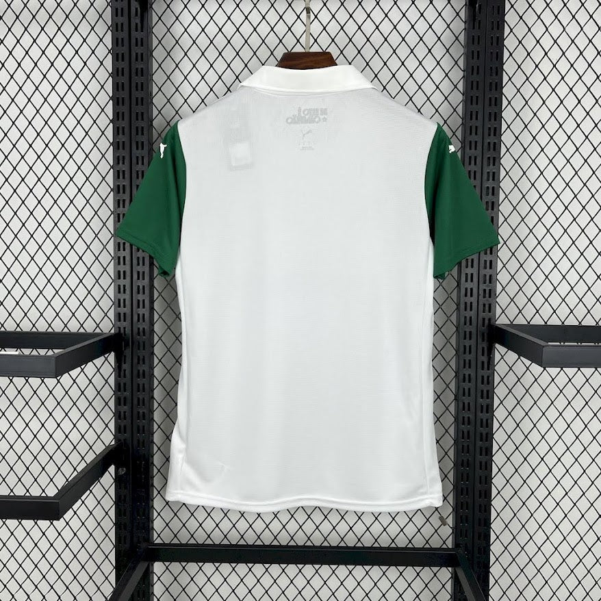 PALMEIRAS Secundário 25/26